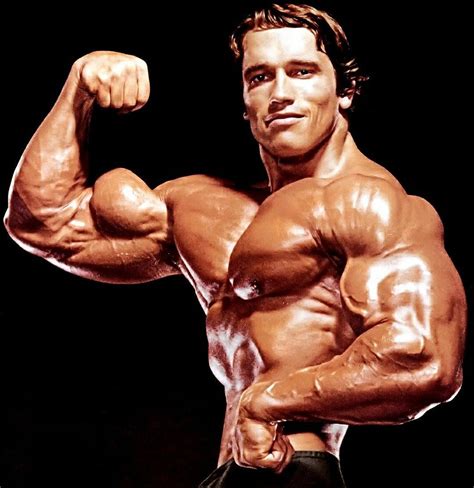 Arnold was still the obvious winner with his amazing physique, great muscle mass and separation and masterful posing ability. Serge Nubret Posing At the Competition. The film Pumping Iron (1977) featured the buildup to the 1975 Mr. Olympia in Pretoria South Africa and helped launch the acting careers of Arnold Schwarzenegger and Lou Ferrigno.